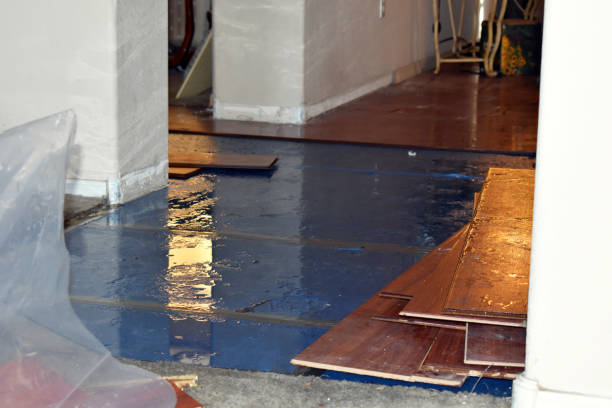Professional Basement Flood Cleanup technician working in Dayton, NJ